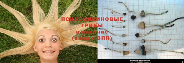 дмт Алексин