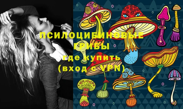 дмт Алексин